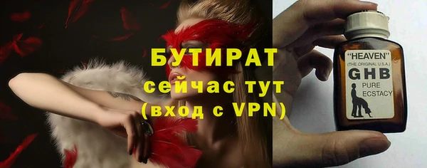 гидра Каменногорск