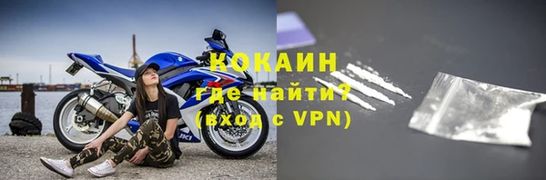 гидра Каменногорск