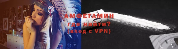 гидра Каменногорск