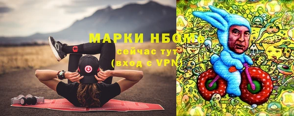 гидра Каменногорск