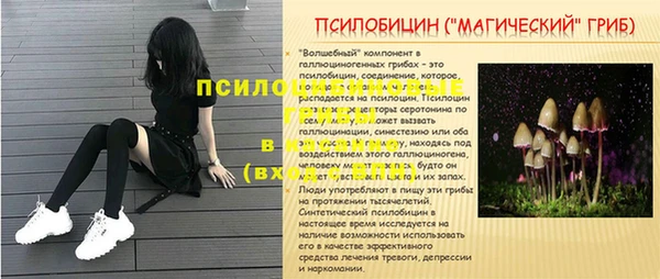 мескалин Каменка