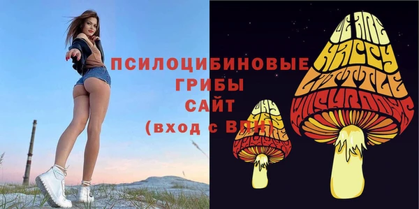 гидра Каменногорск