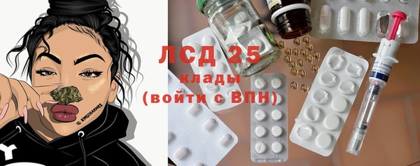 гидра Каменногорск